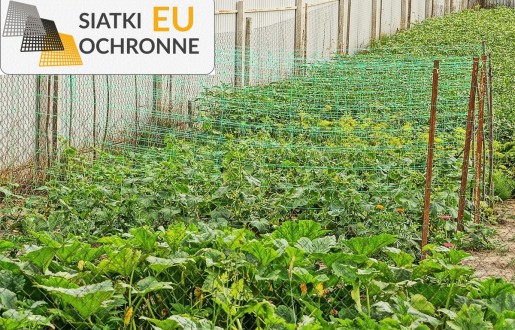 Wytrzymała siatka podwieszana dla roślin pnących SiatkiOchronne.eu - Wytrzymała siatka podwieszana dla roślin pnących