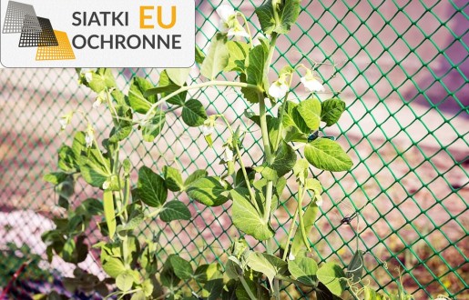 Siatka wspierająca rozwój roślin pnących SiatkiOchronne.eu - Siatka wspierająca rozwój roślin pnących