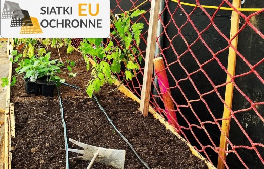 Wsparcie na rozwój pnących warzyw za pomocą ekonomicznej siatki SiatkiOchronne.eu - Wsparcie na rozwój pnących warzyw za pomocą ekonomicznej siatki