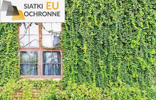   SiatkiOchronne.eu - Idealna siatka sznurkowa do roślin pnących 