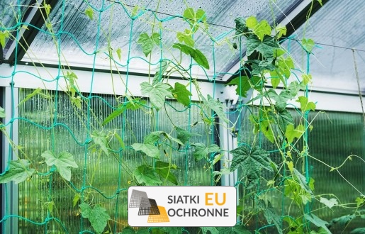 Odporna siatka z dużym oczkiem dla roślin pnących SiatkiOchronne.eu - Odporna siatka z dużym oczkiem dla roślin pnących