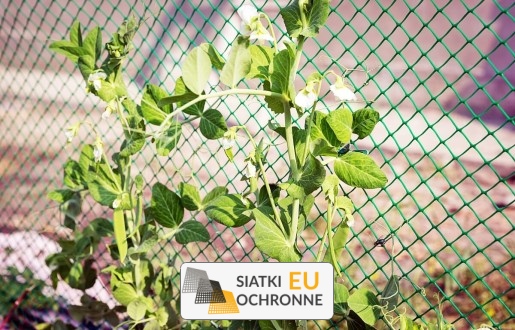   SiatkiOchronne.eu - Gęsta siatka idealna dla wymagających roślin pnących 