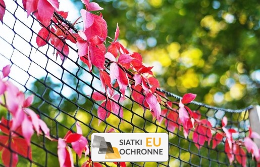   SiatkiOchronne.eu - Niezwykle trwała, gruba siatka dla pnączy, służąca przez wiele lat 