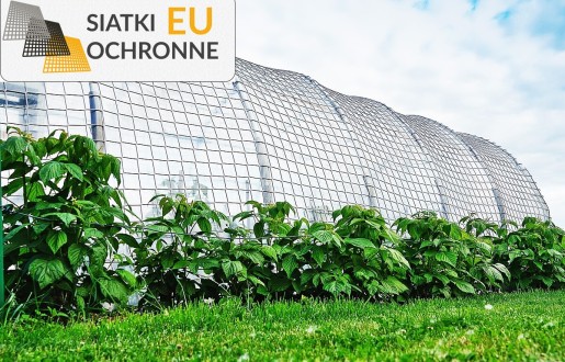 Wiatroodporna siatka wzmacniająca do tunelu foliowego SiatkiOchronne.eu - Wiatroodporna siatka wzmacniająca do tunelu foliowego