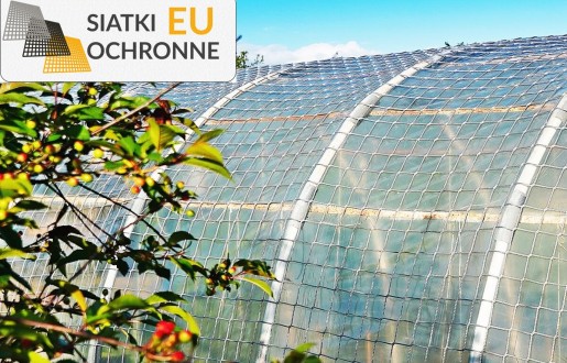 Siatka ochronna wzmocniona — przeciwdziałająca wpływowi wiatru na foliowy tunel SiatkiOchronne.eu - Siatka ochronna wzmocniona — przeciwdziałająca wpływowi wiatru na foliowy tunel