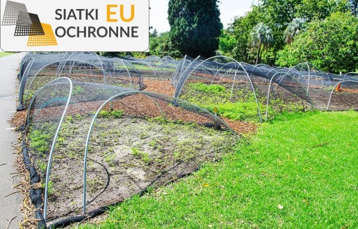 Sznurkowa siatka ochronna dla roślin uprawnych SiatkiOchronne.eu - Sznurkowa siatka ochronna dla roślin uprawnych