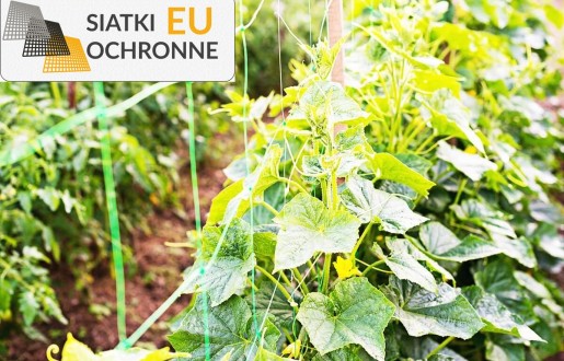Siatka zabezpieczająca do domowych i ogrodowych upraw SiatkiOchronne.eu - Siatka zabezpieczająca do domowych i ogrodowych upraw
