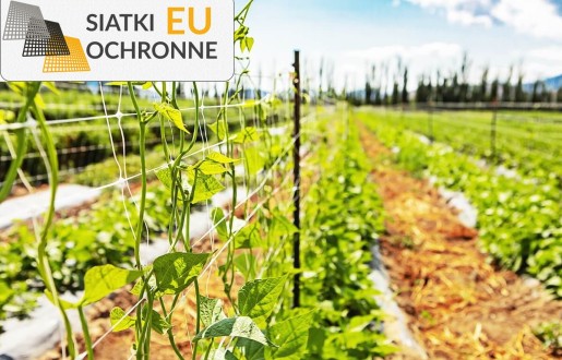 Siatka sznurkowa do ochrony roślin uprawnych SiatkiOchronne.eu - Siatka sznurkowa do ochrony roślin uprawnych