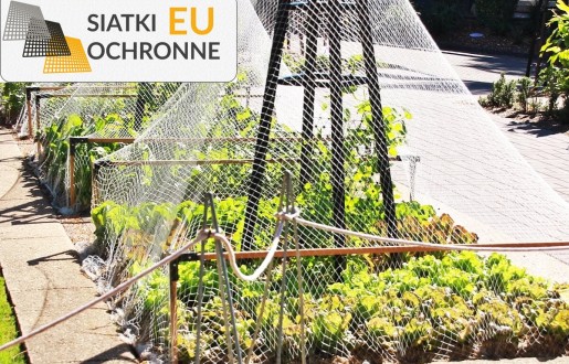 Zapewniające zdrowe plony zabezpieczenie dla Twojej uprawy SiatkiOchronne.eu - Zapewniające zdrowe plony zabezpieczenie dla Twojej uprawy