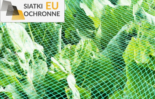 Bezpieczna ochrona Twoich roślin dzięki siatkom sznurkowym SiatkiOchronne.eu - Bezpieczna ochrona Twoich roślin dzięki siatkom sznurkowym