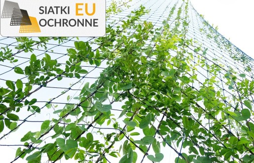 Ochrona roślin premium - Twój nr 1 w uprawie SiatkiOchronne.eu - Ochrona roślin premium - Twój nr 1 w uprawie