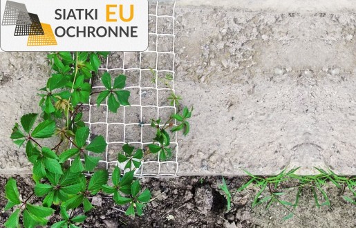 Siatka sznurkowa chroniąca Twoje uprawy SiatkiOchronne.eu - Siatka sznurkowa chroniąca Twoje uprawy