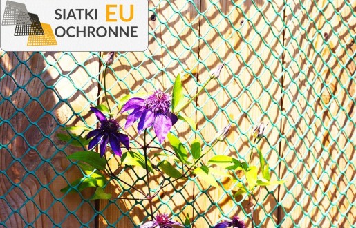 Ochrona Twojego zielonego zakątka — sprawdzona siatka na rośliny SiatkiOchronne.eu - Ochrona Twojego zielonego zakątka — sprawdzona siatka na rośliny