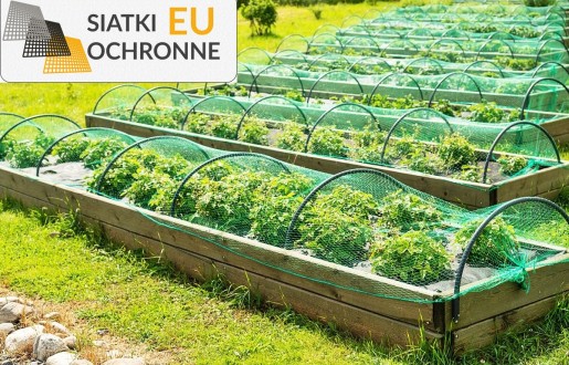Efektywna ochrona Twojej uprawy — Siatki i sznurki do pielęgnacji roślin SiatkiOchronne.eu - Efektywna ochrona Twojej uprawy — Siatki i sznurki do pielęgnacji roślin