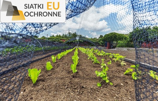   SiatkiOchronne.eu - Wytrzymałe, a jednocześnie delikatne dla roślin siatki ogrodowe idealne do ochrony Twojego zieleni 