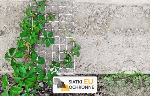   SiatkiOchronne.eu - Bezpieczne zabezpieczenie dla Twoich upraw 