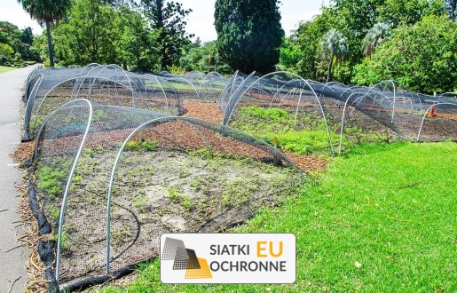   SiatkiOchronne.eu - Siatka do ogródka uprawnego   Zabezpieczenie upraw w ogrodzie 