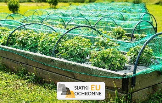 Ochrona siatką roślin w ogrodzie Siatka do uprawy warzyw w ogródku SiatkiOchronne.eu - Ochrona siatką roślin w ogrodzie Siatka do uprawy warzyw w ogródku