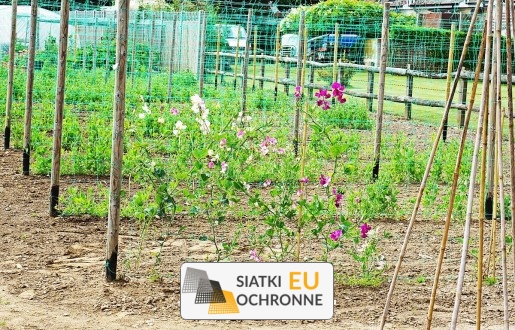   SiatkiOchronne.eu - Siatka do zabezpieczania roślin w warzywniku 