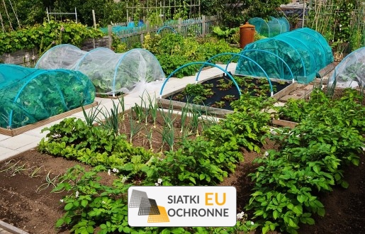 Siatka zabezpieczająca rośliny w Twoim ogrodzie SiatkiOchronne.eu - Siatka zabezpieczająca rośliny w Twoim ogrodzie