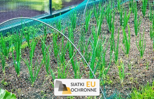   SiatkiOchronne.eu - Ochrona roślin uprawnych za pomocą siatki 