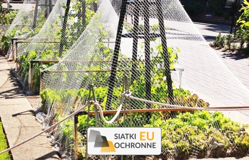 Ochrona upraw w ogrodzie - niezawodne zabezpieczenie SiatkiOchronne.eu - Ochrona upraw w ogrodzie - niezawodne zabezpieczenie