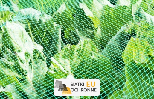 Bezpieczne zabezpieczenie dla Twoich upraw SiatkiOchronne.eu - Bezpieczne zabezpieczenie dla Twoich upraw