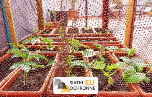 Ochrona roślin uprawnych za pomocą siatki SiatkiOchronne.eu - Ochrona roślin uprawnych za pomocą siatki