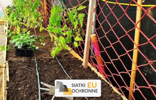   SiatkiOchronne.eu - Ochrona siatką roślin w ogrodzie   Siatka do uprawy warzyw w ogródku 