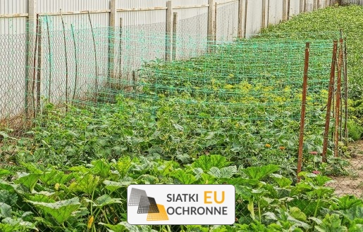 Ochrona siatką roślin w ogrodzie Siatka do uprawy warzyw w ogródku SiatkiOchronne.eu - Ochrona siatką roślin w ogrodzie Siatka do uprawy warzyw w ogródku