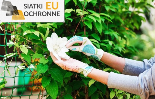 Siatka sznurkowa doskonała do zabezpieczania działki SiatkiOchronne.eu - Siatka sznurkowa doskonała do zabezpieczania działki