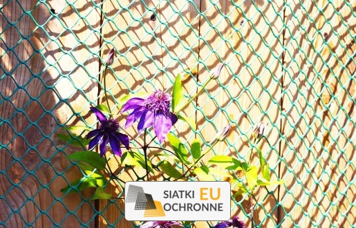   SiatkiOchronne.eu - Siatka ochronna na zadaszenie — idealna do altanek i domków rekreacyjnych 