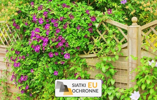   SiatkiOchronne.eu - Siatka do tymczasowego ogrodzenia w ogrodzie 