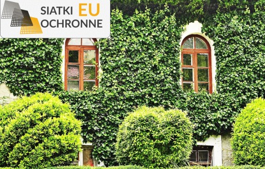   SiatkiOchronne.eu - Ożyw swoje wnętrze zielenią — wykorzystaj siatkę do tworzenia pionowych ogrodów 