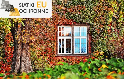   SiatkiOchronne.eu - Siatka do porastania ścian: zieleń, która zdobi   Siatka dla roślin ściennej: zielony akcent w Twoim domu 