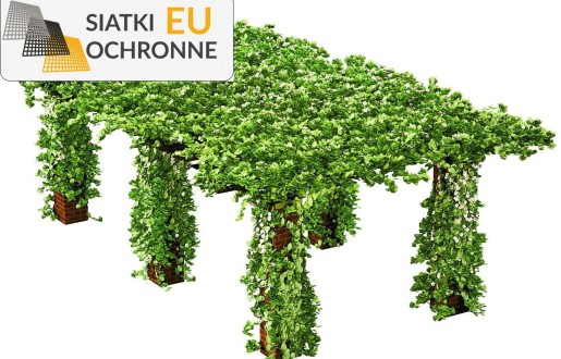 Ozdobna i ochronna siatka w kolorze zieleni do porastania pergoli SiatkiOchronne.eu - Ozdobna i ochronna siatka w kolorze zieleni do porastania pergoli