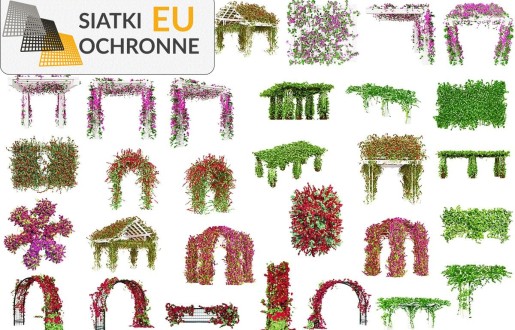 Ozdobna i ochronna siatka w kolorze zieleni do porastania pergoli SiatkiOchronne.eu - Ozdobna i ochronna siatka w kolorze zieleni do porastania pergoli