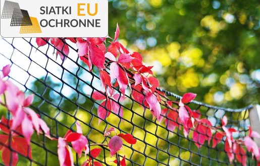 Wsparcie dla Twojego Ogrodu - Stymulacja Roślin Wspinaczkowych SiatkiOchronne.eu - Wsparcie dla Twojego Ogrodu - Stymulacja Roślin Wspinaczkowych