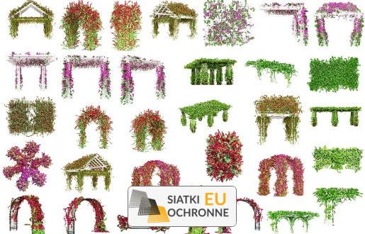   SiatkiOchronne.eu - Siatki ekologiczne na tworzenie zielonych ścian 