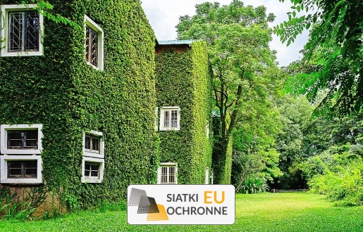   SiatkiOchronne.eu - Twoje wsparcie dla roślin: Zielona siatka na ścianę 