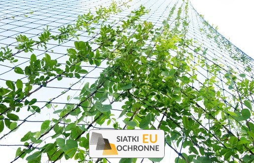  SiatkiOchronne.eu - Budowa trejaży w ogrodzie - Siatka do budowy i powieszenia na trejażach w ogrodzie 