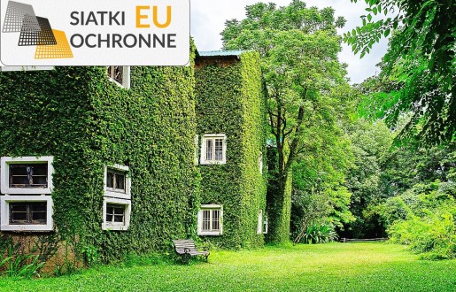   SiatkiOchronne.eu - Podwieszana siatka łącząca niecodzienną estetykę z praktycznością, doskonała dla entuzjastów unikalnych rozwiązań 