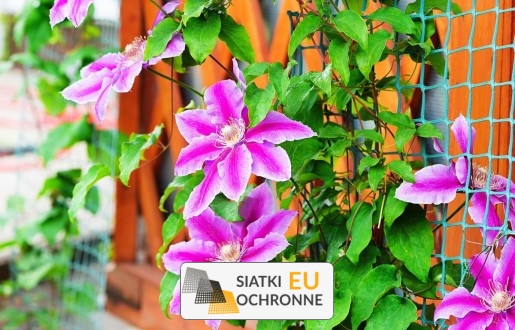   SiatkiOchronne.eu - Siatka do ozdoby ogrodu   Przystrajanie ogrodu domowego i rekreacyjnego siatką 