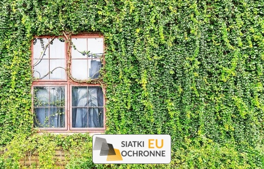   SiatkiOchronne.eu - Dekoracyjne Siatki i Sznurki do Kreacji Przestrzeni Ogrodowej 