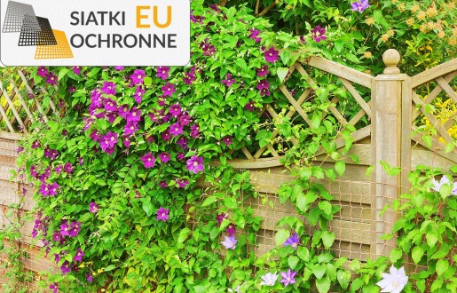 Bezpieczne osłony sznurkowe dla Twojego domu SiatkiOchronne.eu - Bezpieczne osłony sznurkowe dla Twojego domu