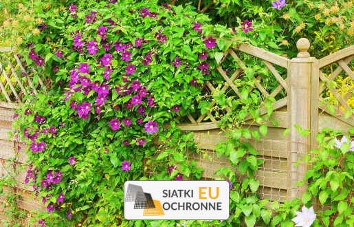 Kreatywne zadaszenie z siatki - doskonałe rozwiązanie dla świeżości i klimatu Twojego ogrodu SiatkiOchronne.eu - Kreatywne zadaszenie z siatki - doskonałe rozwiązanie dla świeżości i klimatu Twojego ogrodu