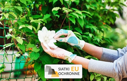   SiatkiOchronne.eu - Siatka do ogródu   Zabezpieczenie i ogrodzenie ogród przy domu siatką 