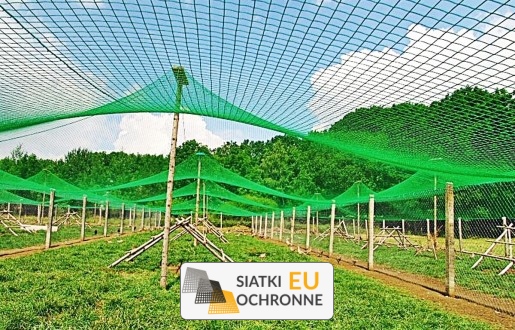 Siatka zabezpieczająca przed ptakami SiatkiOchronne.eu - Siatka zabezpieczająca przed ptakami