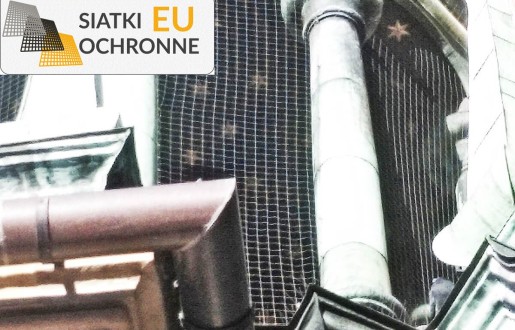 Ochrona Twojego ogrodu — siatka odstraszająca ptaki SiatkiOchronne.eu - Ochrona Twojego ogrodu — siatka odstraszająca ptaki