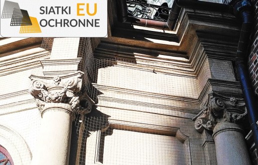 Siatka ochronna - skuteczna bariera przeciwko ptakom SiatkiOchronne.eu - Siatka ochronna - skuteczna bariera przeciwko ptakom